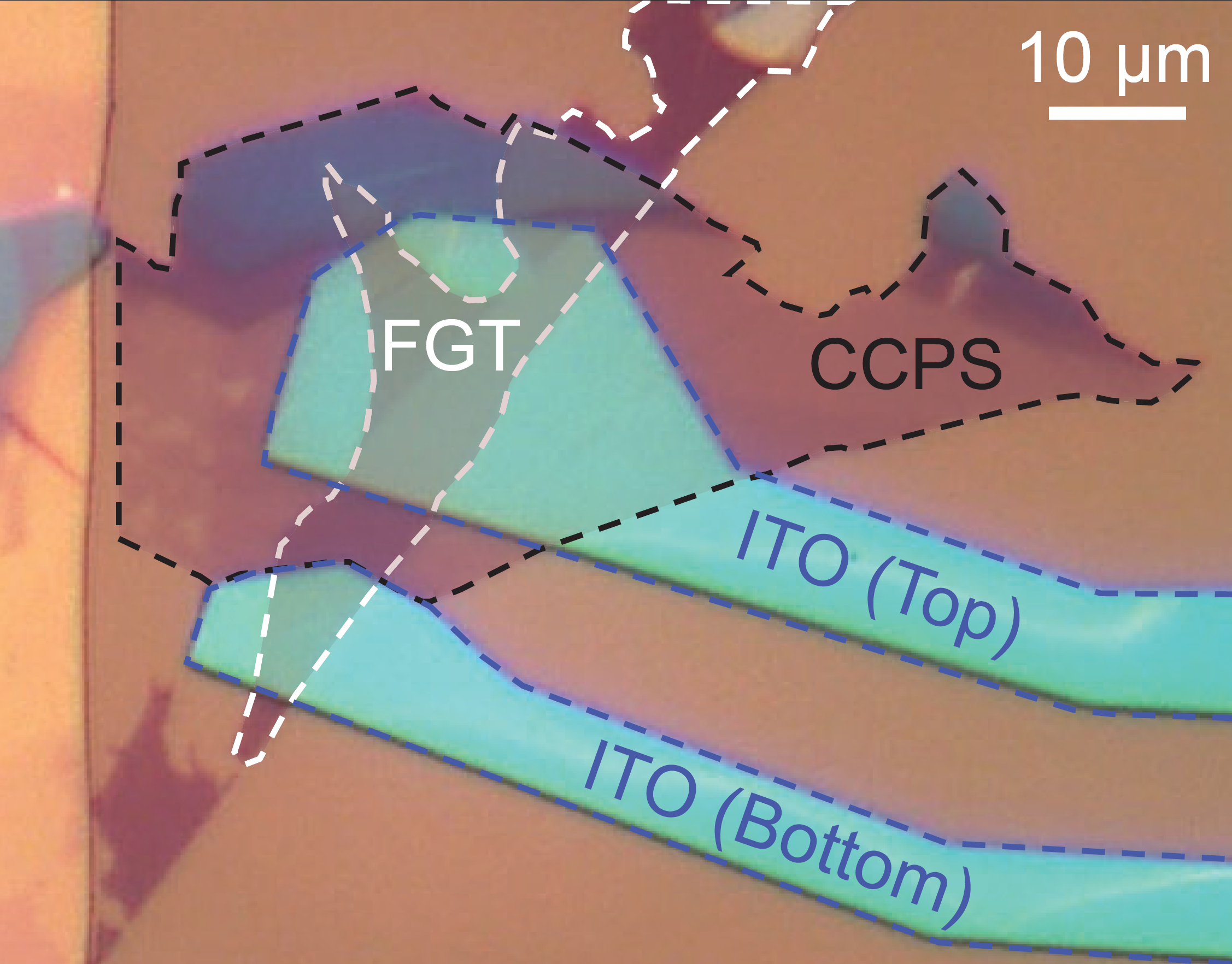 You are currently viewing Interferroic magnetoelectric coupling at CuCrP2S6/Fe3GeTe2 van der Waals heterojunctions
