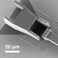 You are currently viewing SAFELOC: self-aligned fiber entry low-loss optical coupler