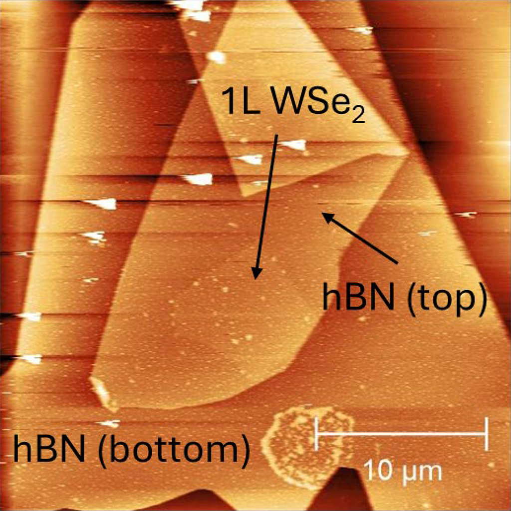 You are currently viewing Engineering Light-Matter Interactions in Graphene and Transition Metal Dichalcogenides